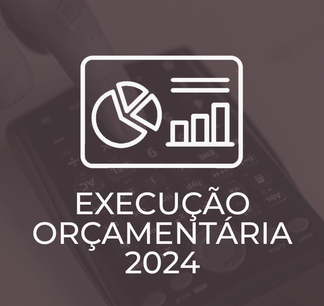 icones-site-exec-orçament-sépia-24.jpg