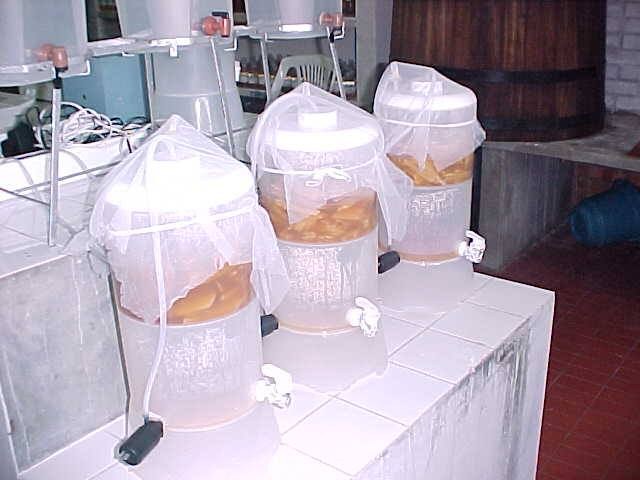 Estudo Cinético do Processo fermentativo para obtenção do vinagre de algaroba