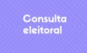 Consulta-Eleitoral.jpeg