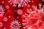 coronavirus2.png