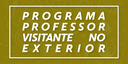 Programa Visitante no Exterior